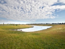 overview of a pond in Copperhaven Spruce Grove