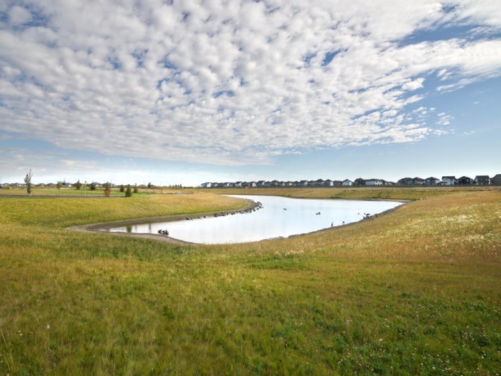 overview of a pond in Copperhaven Spruce Grove